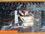 Philadelphia Flyers - Yearbook 1990-1991